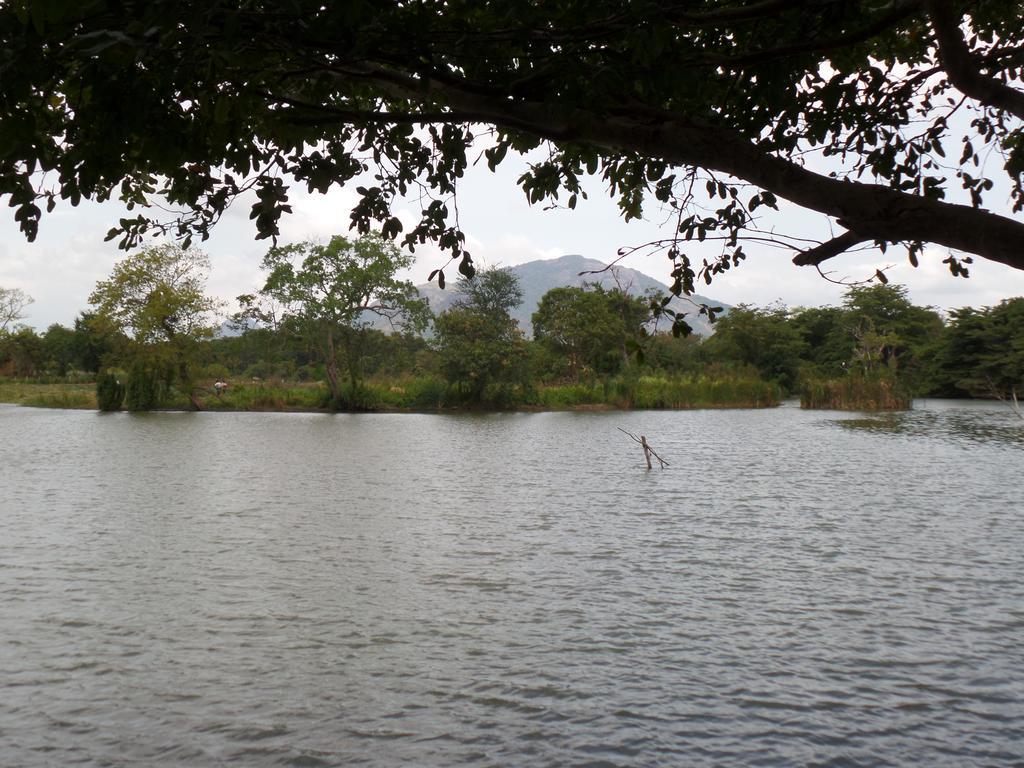 Mps Village Dambulla Eksteriør bilde