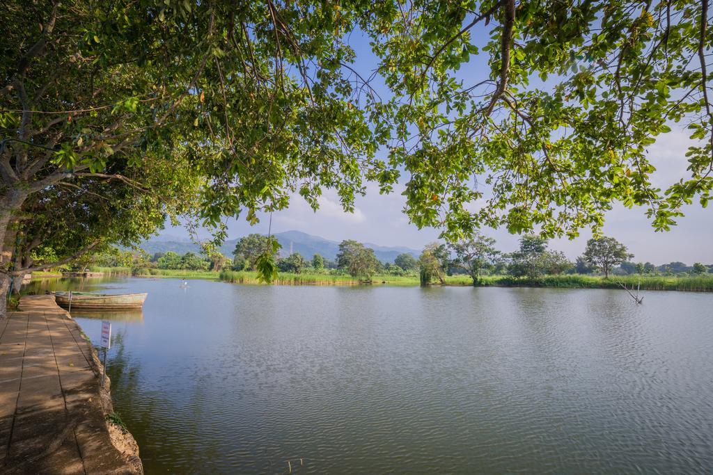 Mps Village Dambulla Eksteriør bilde
