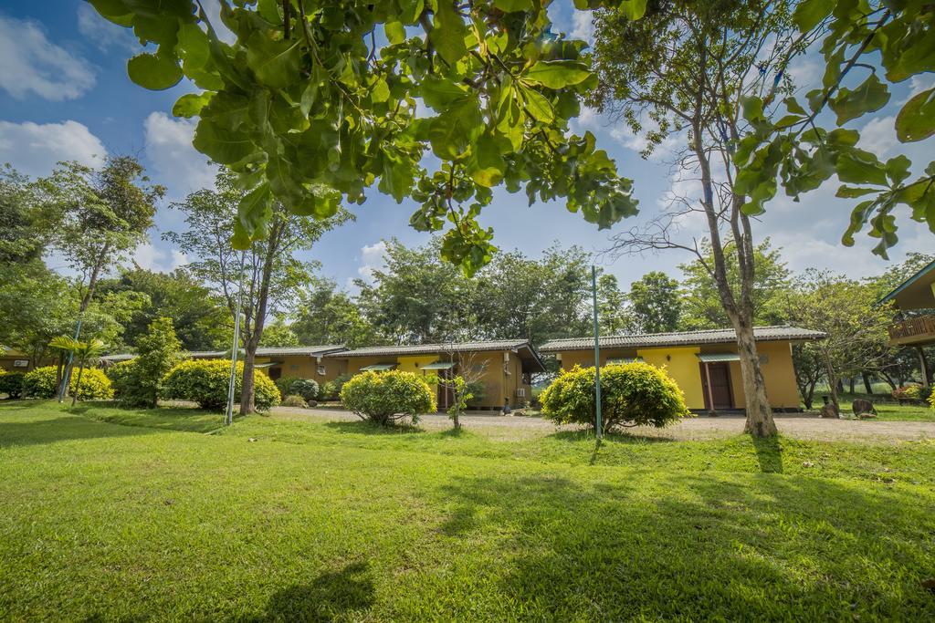 Mps Village Dambulla Eksteriør bilde